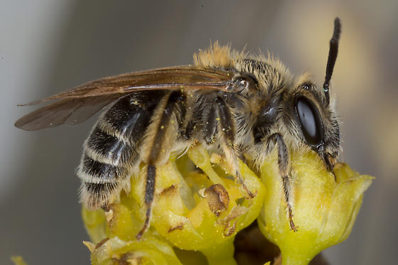 Foto de Perfil de DARIAN PEREZ LUNA